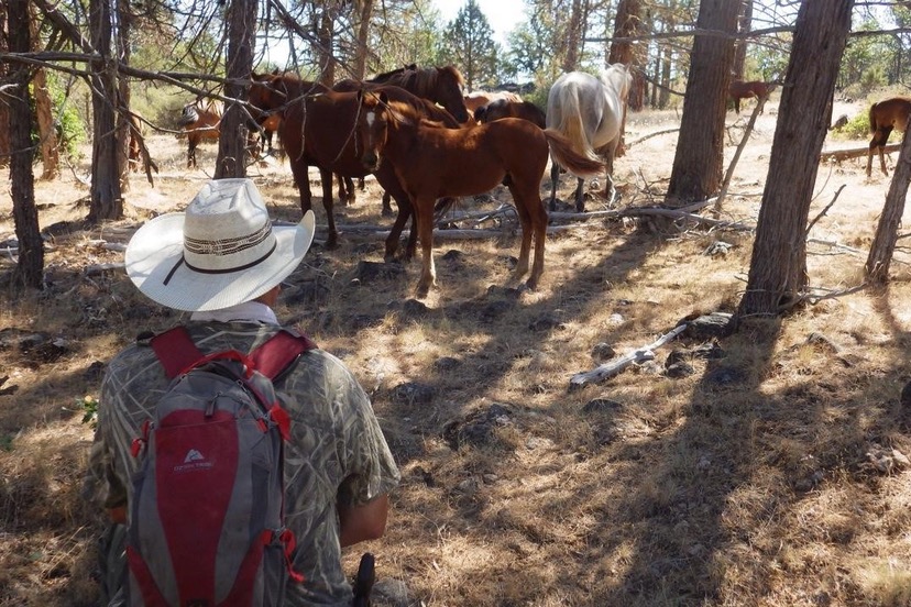 OPINION: News from the Wild Horse Fire Brigade – Pagosa Daily Post News Events & Video for Pagosa Springs Colorado