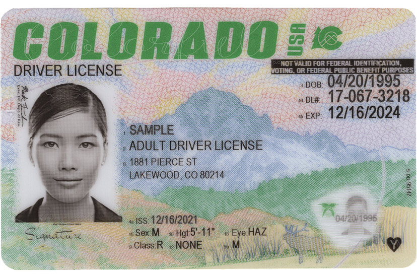 How to vote for new CO driver's license design