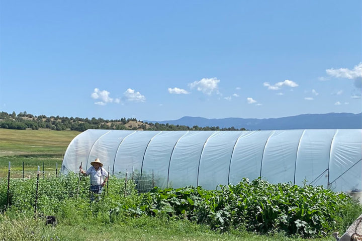 LOCAL FOOD HEROES: Thurman and Diane Reitz of Chama River Farms