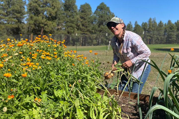 LOCAL FOOD HERO: Kim Barnes