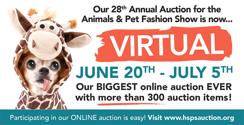 28th Annual 'Auction for the Animals' is Going Virtual – Pagosa Daily Post  News Events & Video for Pagosa Springs Colorado