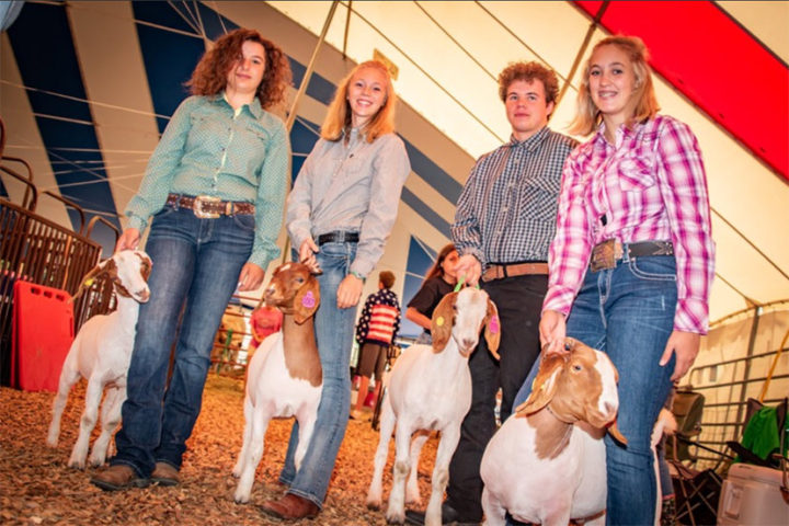 Archuleta County Fair Begins August 4