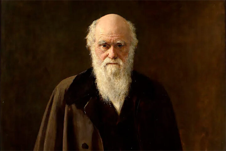 READY, FIRE, AIM: Charles Darwin and the Origin of Christmas