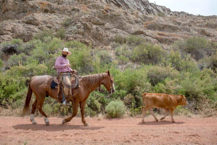 Moral Questions in the San Luis Valley