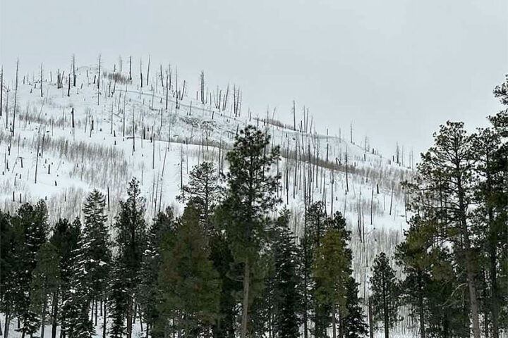 Snowy Weekend Results in Three Avalanche Deaths in Southern Colorado