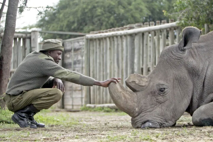 Kenyan Conservationist James Mwenda to Present This Wednesday, March 29