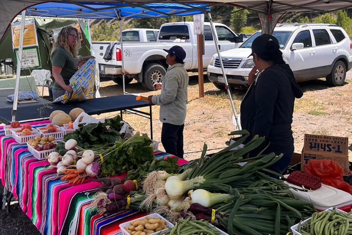 FARMERS MARKET:  White Mountain Farm