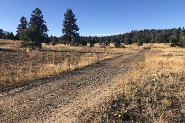 Pagosa Springs Announces Stage 2 Fire Restrictions Effective July 6