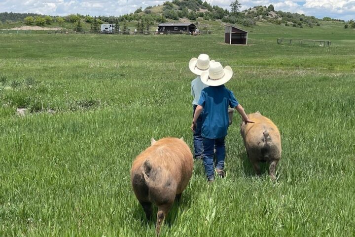 Healthy Archuleta Forum Celebrates 'Three Fords Farm' Tomorrow, Nov. 16