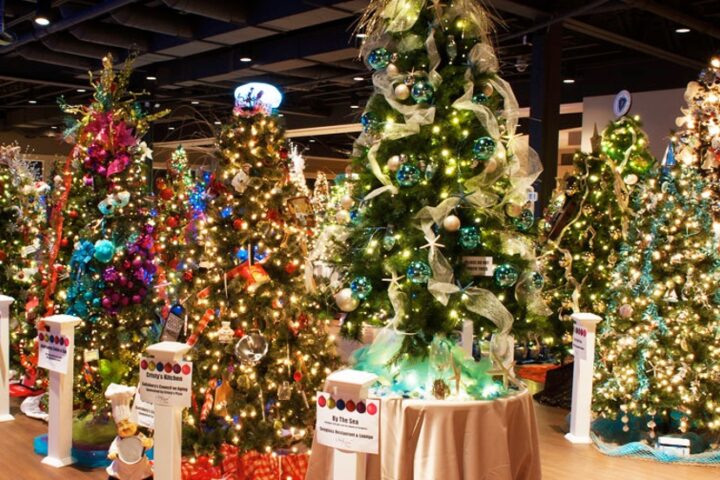SENIOR CENTER NEWS: Festival of Trees, and Colorado Gives Day
