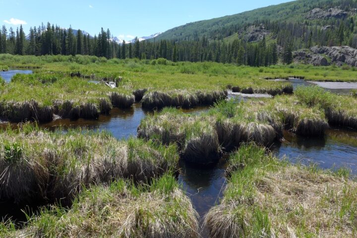 Colorado Lawmakers Expected to Consider Legislation to Protect Wetlands