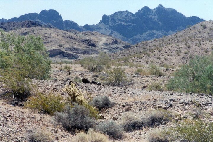 desert scene, La Paz County, Arizona.