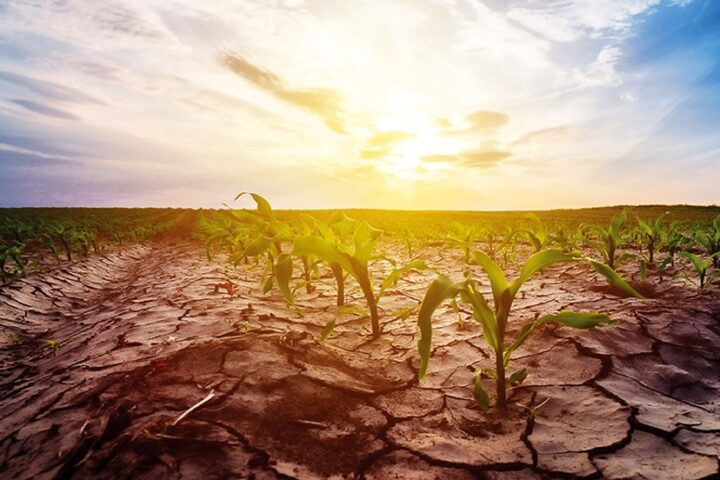 Kansas Farmers Brace for Irrigation Reductions in Effort to Save Ogallala Aquifer, Part Two