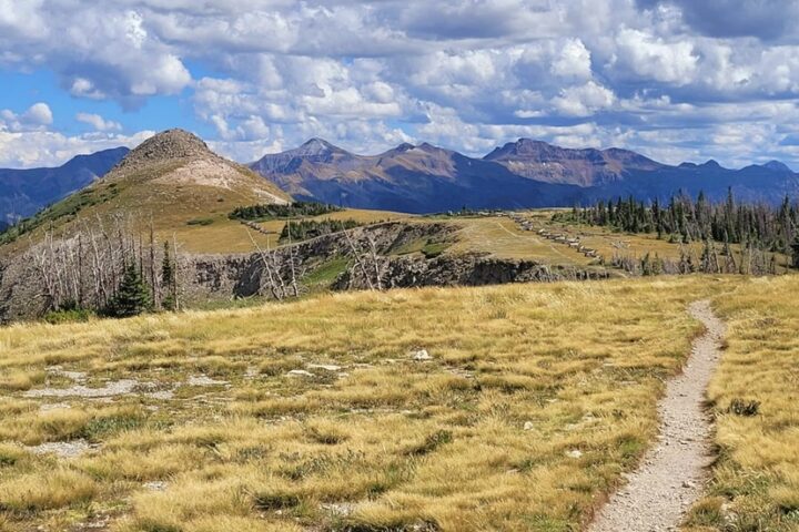 Register Now for 'Alberta Peak Challenge' 4 Mile & 12 Mile Trail Races
