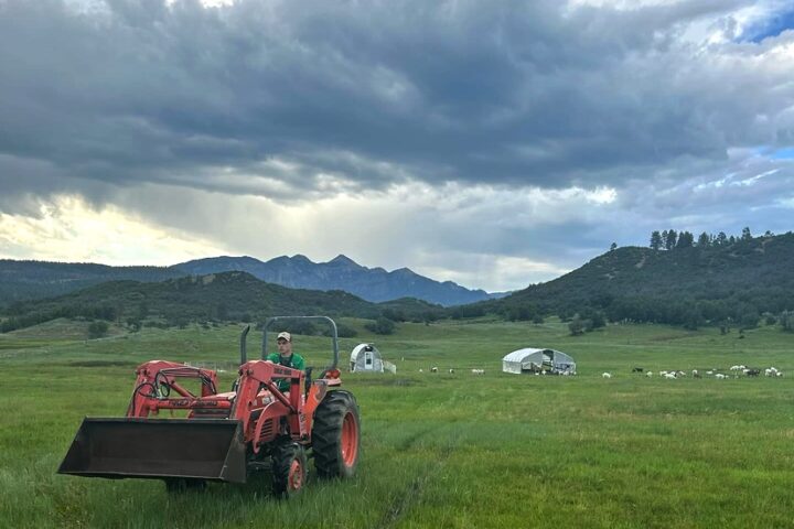 PAGOSA FARMERS MARKET: 'Three Fords' Farm is Market's Newest Vendor