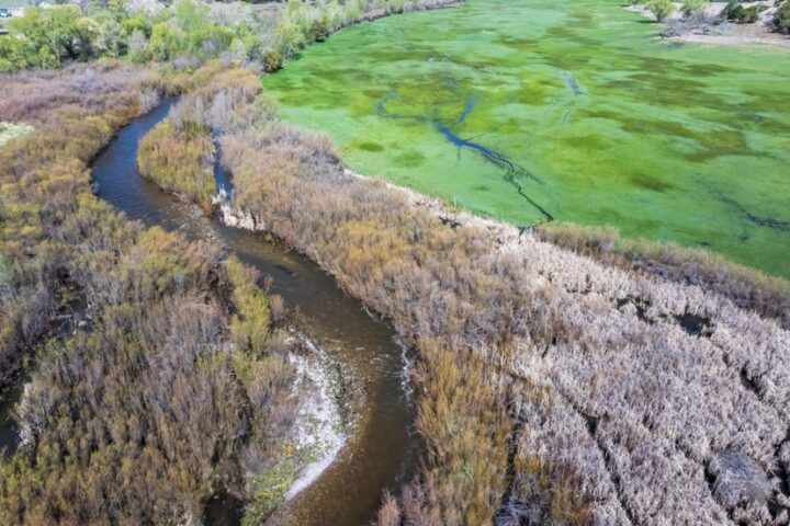 ESSAY: Let the Beavers Do Their Work