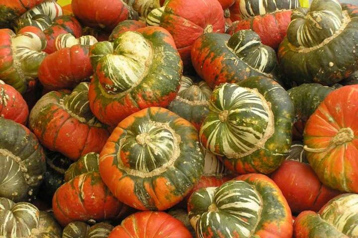 READY, FIRE, AIM:  National Spinach and Squash Month