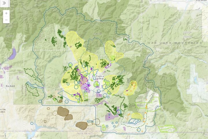 EDITORIAL: Cutting the Budget for Forest Health, Part One