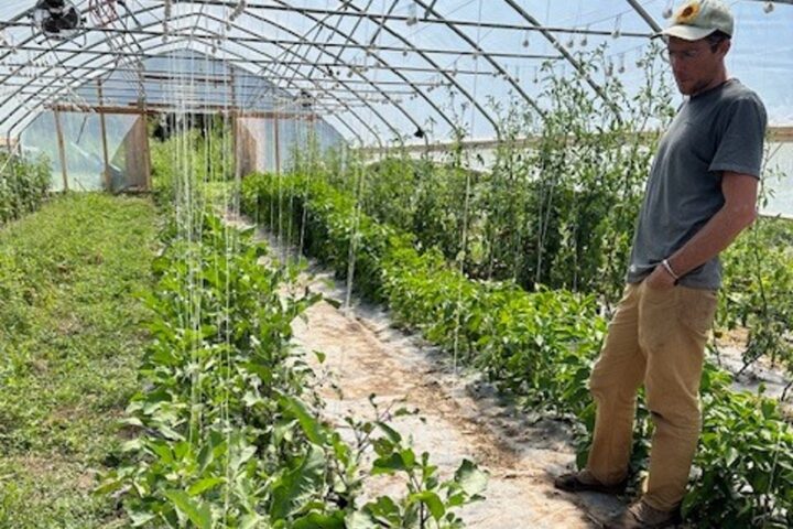 SENIOR CENTER NEWS: 'Produce Box' Program for Older Adults Announced 