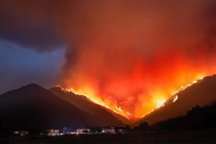 Wildland Urban Interface (WUI)