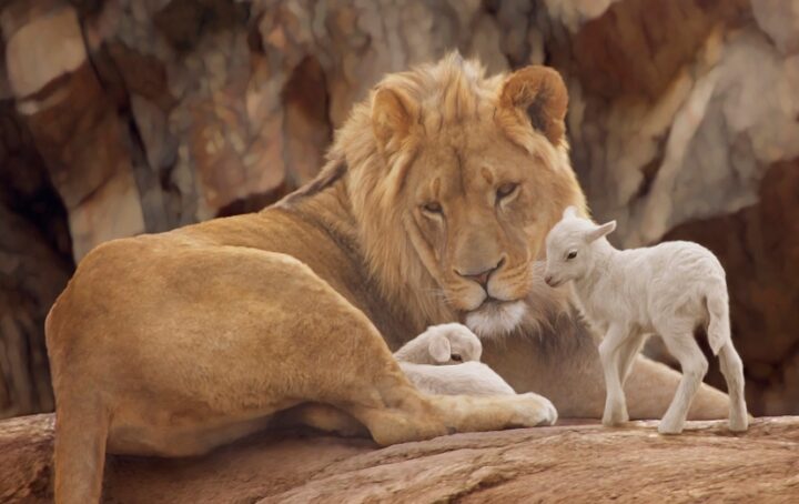 EDITORIAL: With Liberty and Justice for All, Part Three