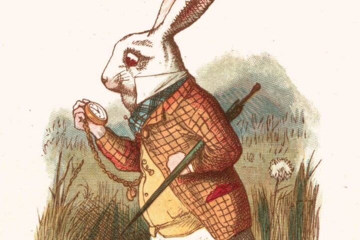 READY, FIRE, AIM: A Rabbit, a Duck, and a Mystery