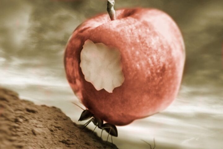 READY, FIRE, AIM: The Sound of Your Own Wheels