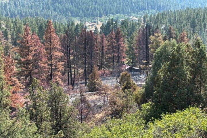 PAGOSA FIRE UPDATE: Oak Fire Downgraded to 75 Acres