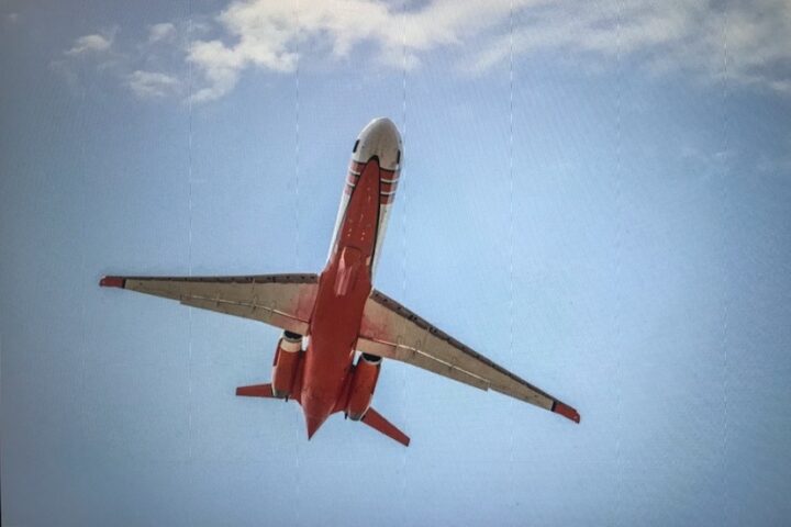 DEVIL MOUNTAIN CHRONICLES: The Oak Fire was a Wake-up Call