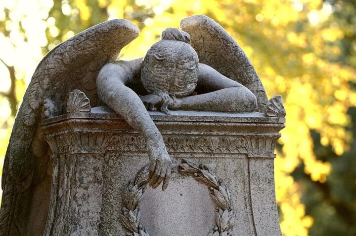 READY, FIRE, AIM: Yes, I Am Biodegradable