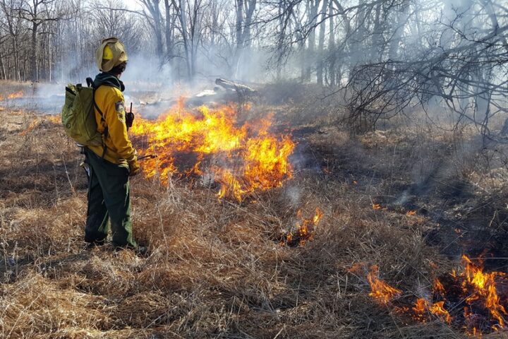 San Juan National Forest Plans Prescribed Burns