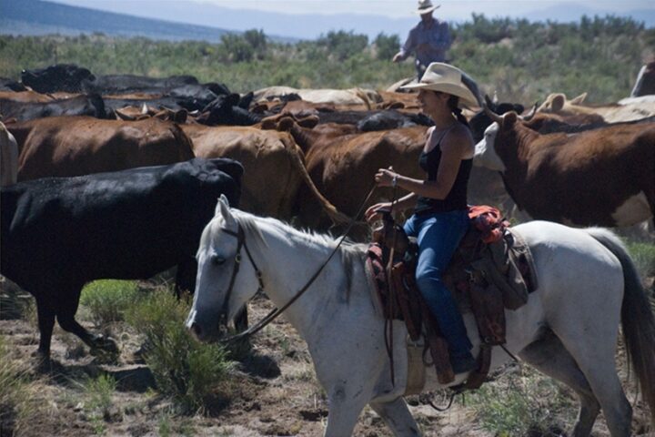 These Colorado Ranchers Want Fossil Fuel Companies Held Accountable