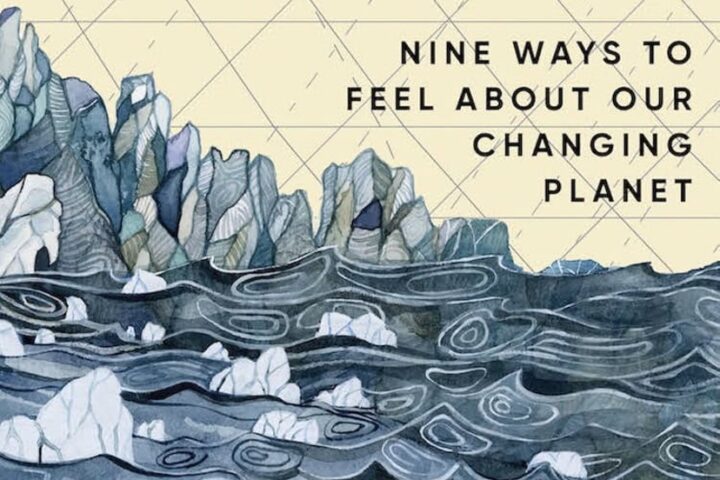 BIG PIVOTS: You Should Read This Book