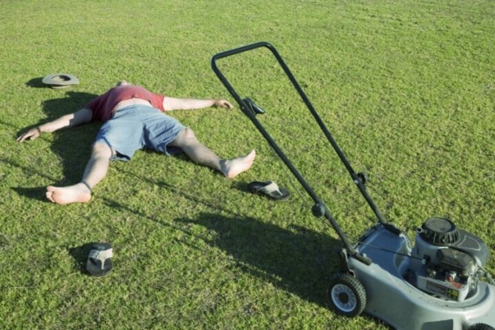 READY, FIRE, AIM: When to Stop Mowing Your Lawn? The Experts Weigh In