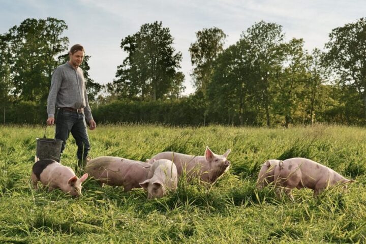 EDITORIAL: Peaceful Change in Pagosa Springs? Part Two