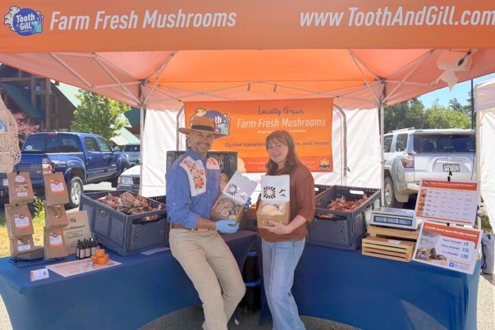 Pagosa Mushroom Growers Using Controlled-Climate Farm to Grow Healthy Food