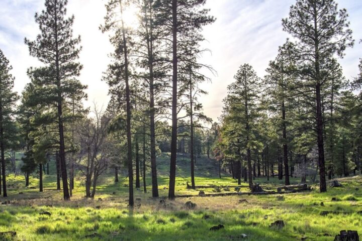 OPINION: Pagosa West Could Be Environmentally Thoughtful