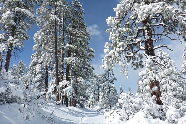 EDITORIAL: Controversial 'Pagosa West' Subdivision Subject to Public Hearing Oct. 28, Part One