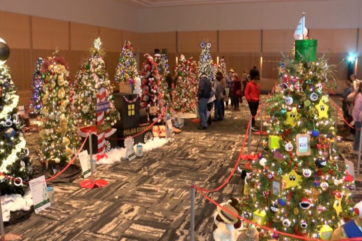 19th Annual Festival of Trees at Ross Aragon Community Center, This Friday, Dec. 5