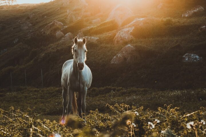 READY, FIRE, AIM: Looking Forward to My Lucky Streak