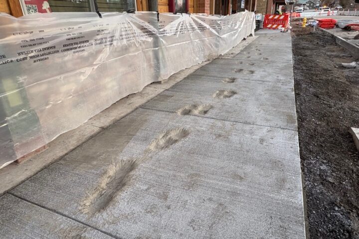 EDITORIAL:  Walking in Quick-Drying Cement, Part Four