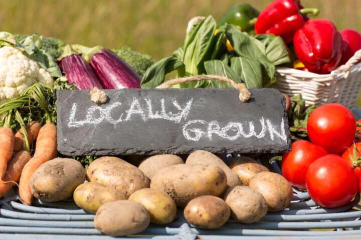 A Season of Gratitude and Community Care