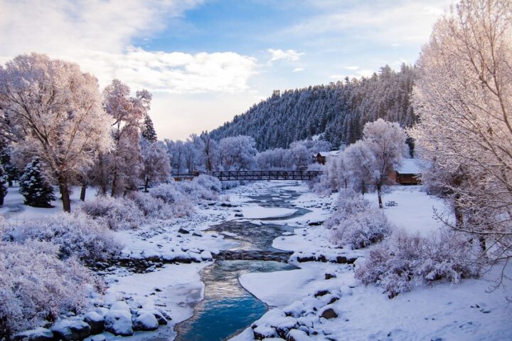 ESSAY: A Year of Progress, Partnership, and Gratitude