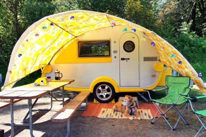 READY, FIRE, AIM: A Home for a Small Family