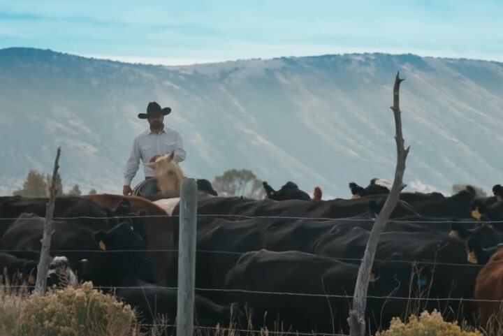 Virtual Online Premiere of 'Three Creeks' Documentary Film Today
