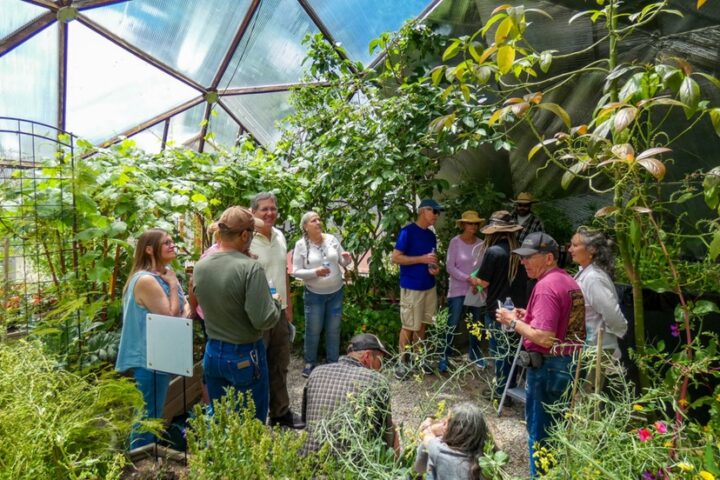 'Growing Spaces' Hosts 2nd Annual Spring Open House & Seed Swap