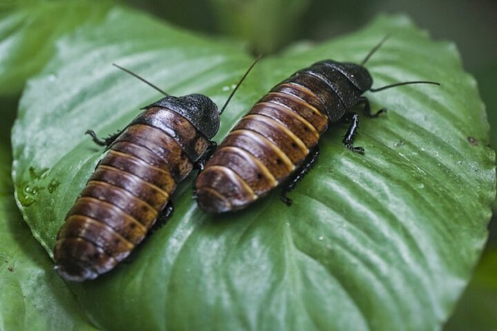 EDITORIAL: Feuding Water Districts Come to a Tentative Agreement, Part Four