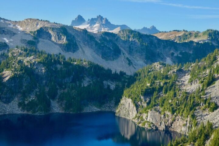 Will States Step Up to Mitigate U.S. Forest Service Deficiencies?