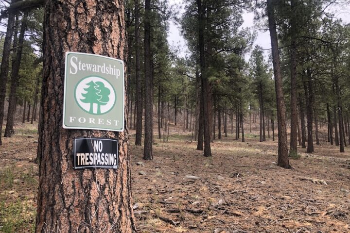 EDITORIAL: A Government Obsessed with Recreation? Part Five