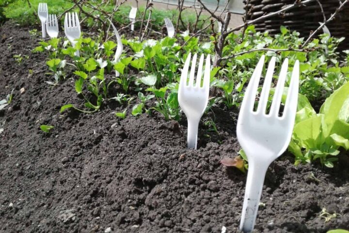 READY, FIRE, AIM: Very Soon, You May Have to Beg for Your Plastic Fork